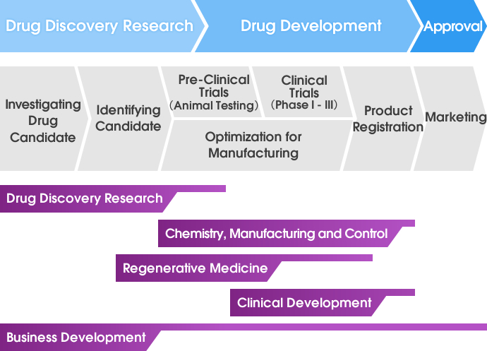 Our Services include all aspects of the Development of New Drugs