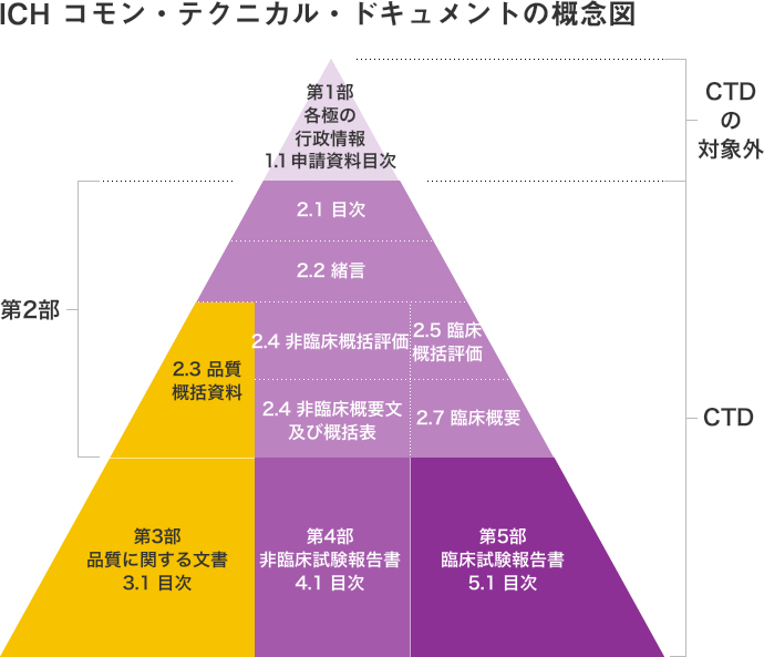 ICH コモン・テクニカル・ドキュメントの概念図
