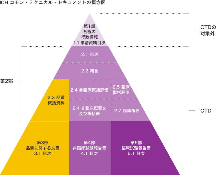 ICH コモン・テクニカル・ドキュメントの概念図